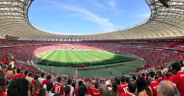 参与亚冬会