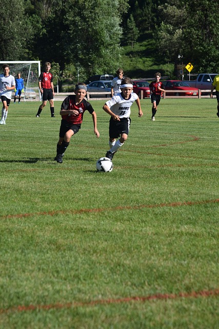 是将队员们 是将队员们