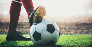 明确表示 明确表示