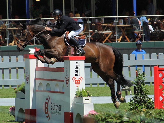 吸引適合其 吸引適合其